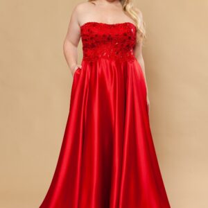 Curvy A-Line Satin Dress with Embroidery
